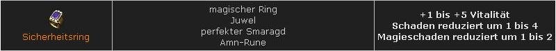 sicherheitsring3.jpg