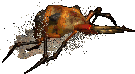 magottdown.png