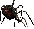 spiderlay.png