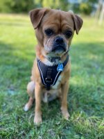 768-1024-max.jpg