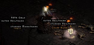 CHAM nr 3.jpg