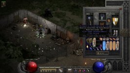 d2r_hell_487.jpg