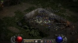 d2r_hell_612.jpg