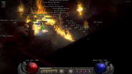 d2r_hell_1317.jpg