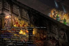 d2r_hell_2333.jpg
