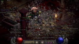 d2r_hell_2389.jpg