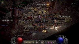 d2r_hell_2390.jpg