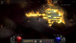 d2r_hell_2957.jpg