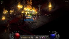 d2r_hell_3124.jpg d2r_hell_3124.jpg