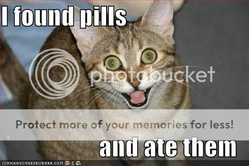 lolcat-funny-picture-found-pills-at.jpg