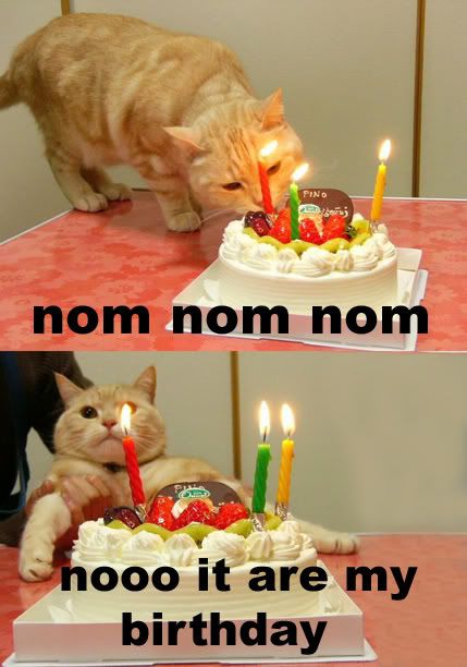 Birthdaylolcat.jpg