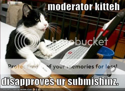 lolcat-funny-picture-modera.jpg