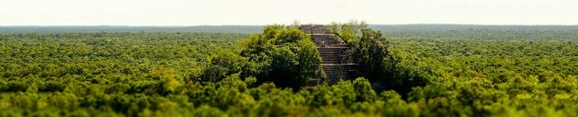 35_mexico5_calakmul2.jpg