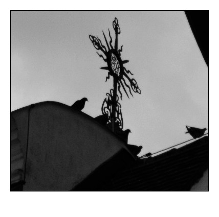 Cry_of_the_Black_Birds_by_theFaustVIII.jpg