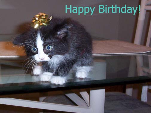 kitty_birthday.jpg
