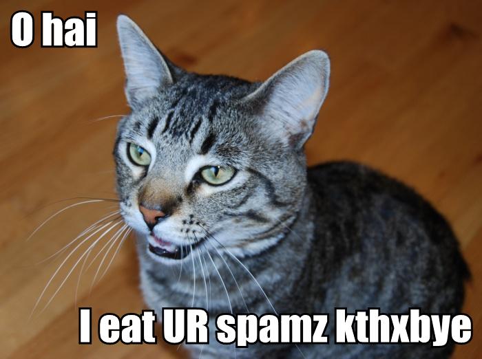 ozzie-cutts-lolcat.jpg