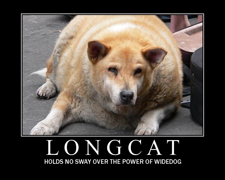 longcat.jpg