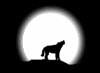 wolf.gif