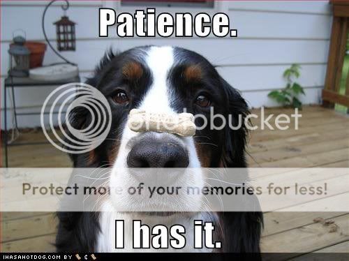 patience.jpg