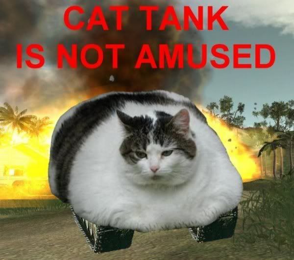 tankcat.jpg