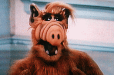 alf.gif