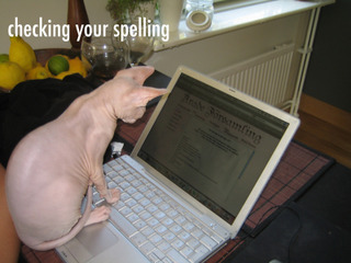 1172513173-spelling.jpg