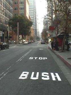 sacramento_street_stop_bush.jpg