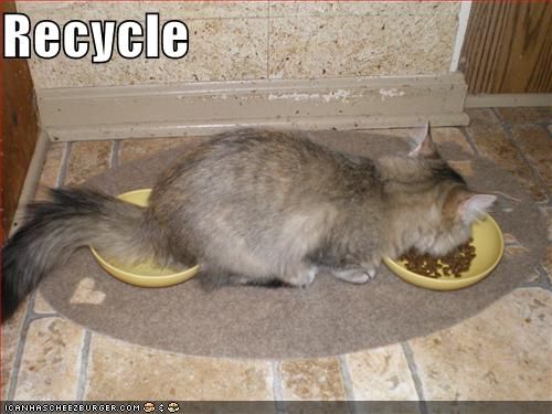 1204982164-funny-pictures-cat-recycles-food.b.jpg