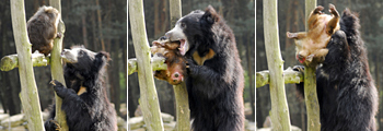 060515_272_hapslikweg.jpg