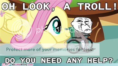 my-little-pony-friendship-is-magic-brony-fluttershy-helps-everyone.jpg