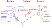 220px-Phylogenetic_tree.svg.png