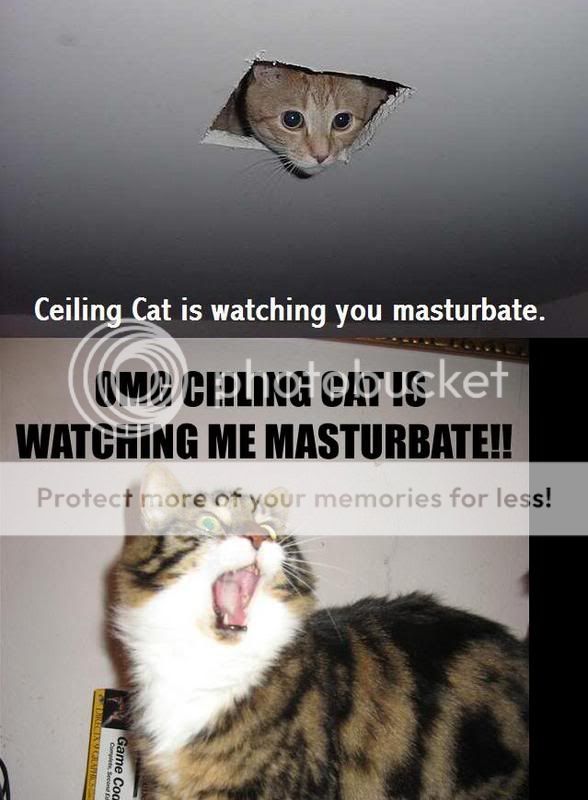 ceiling-cat.jpg