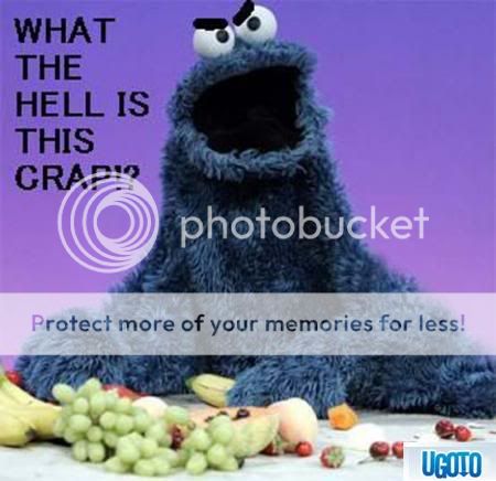 cookie-monster-diet.jpg